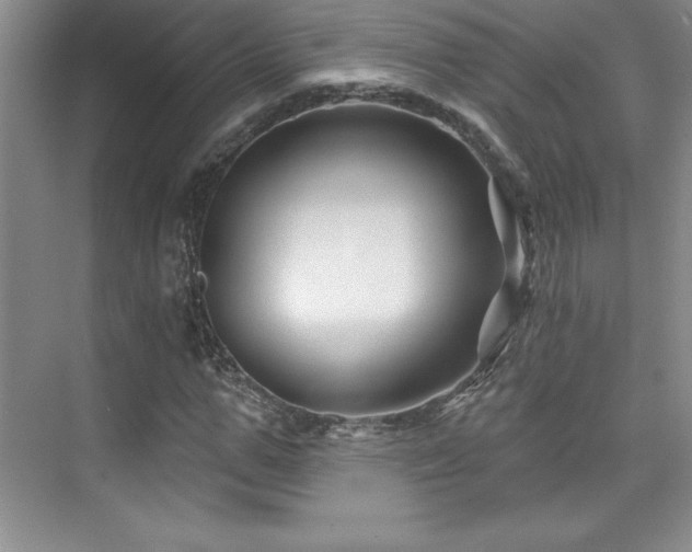 X0000076260967200609281203