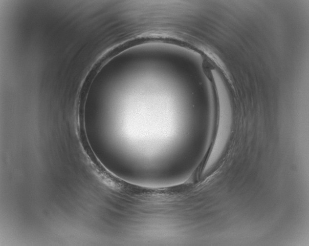 X0000076260984200609281202