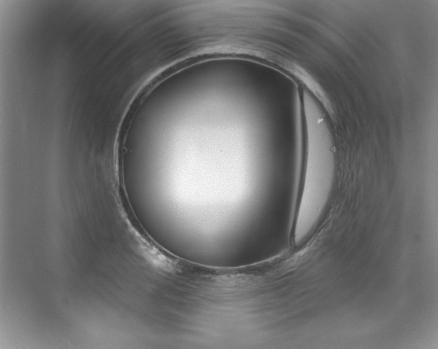 X0000076260988200609281202
