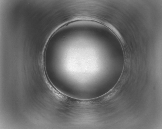 X0000076261004200609281202
