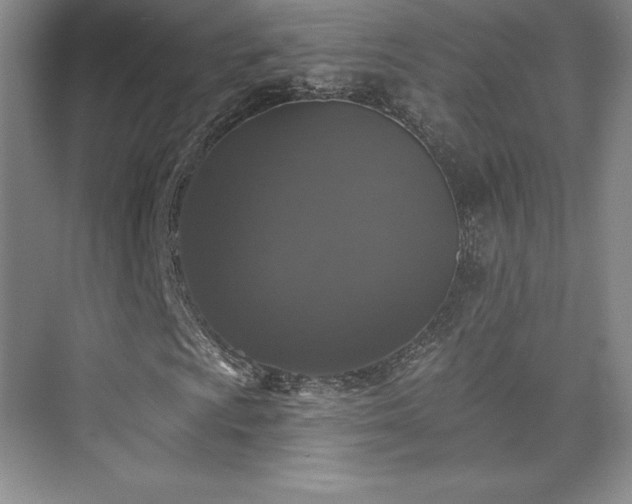 X0000076261009200609281201