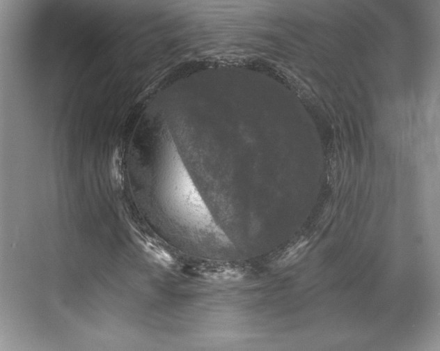X0000076261010200609281201