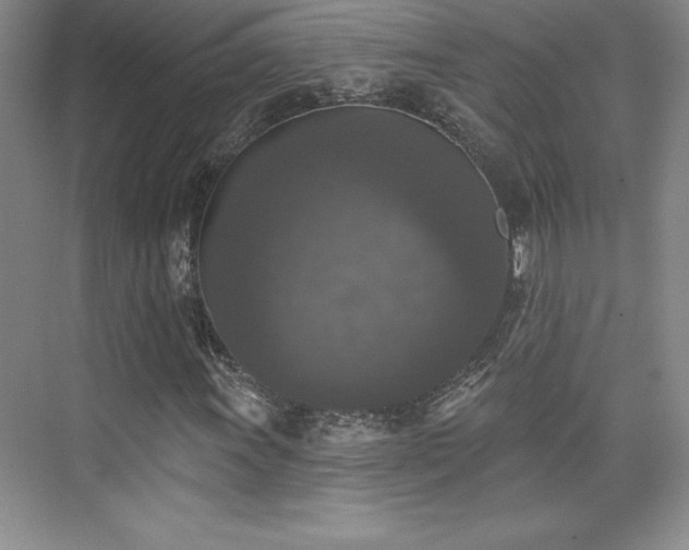 X0000076261011200609281201