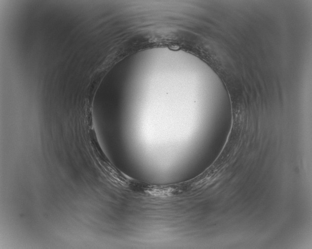 X0000076261012200609281201
