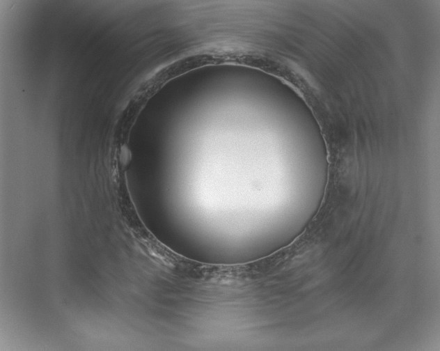 X0000076261016200609281201