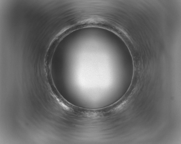 X0000076261018200609281201