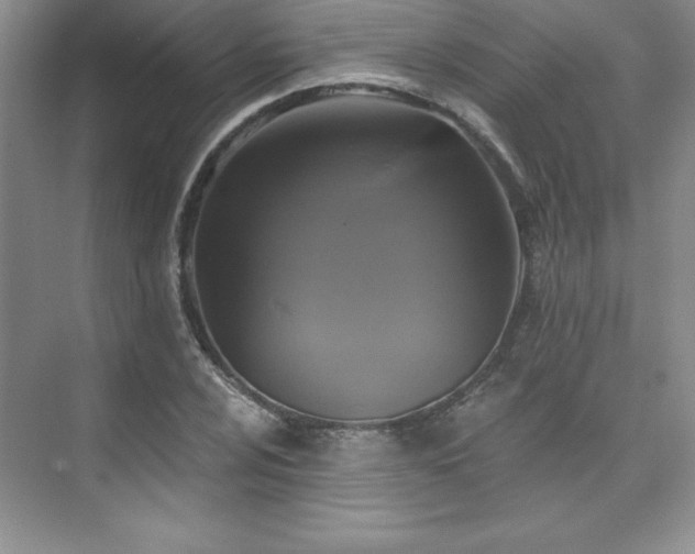 X0000076261024200609281201