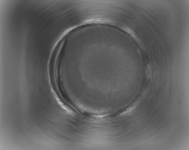 X0000076261030200609281201