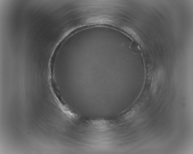 X0000076261031200609281201