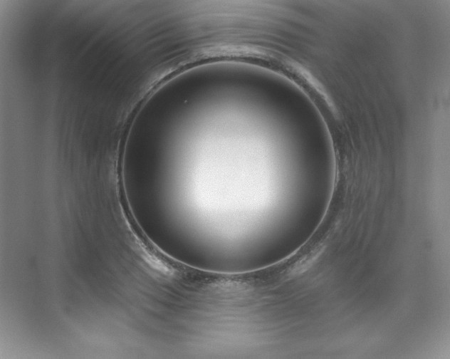 X0000076261033200609281201