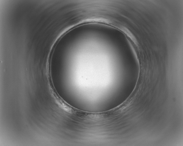 X0000076261044200609281202