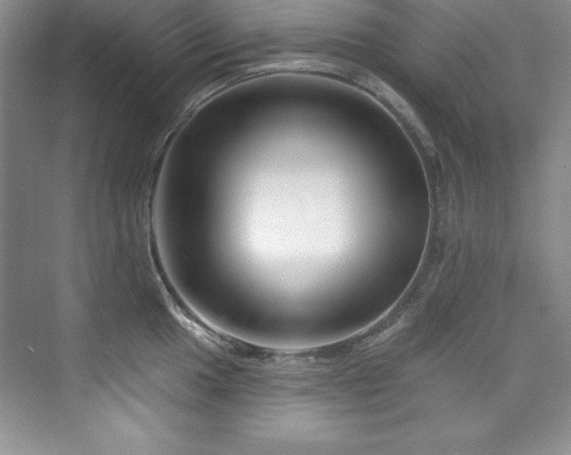X0000076261049200609281202