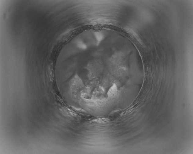 X0000076261063200609281201