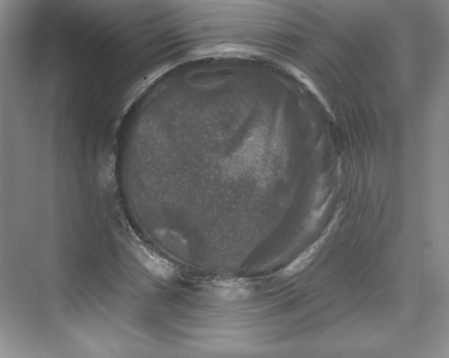 X0000076261066200609281201