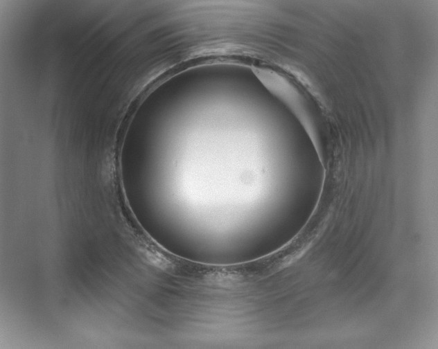 X0000076261073200609281201
