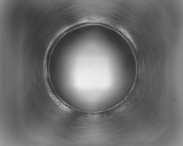 X0000076261080200609281201