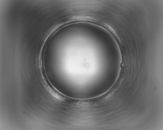 X0000076261082200609281201