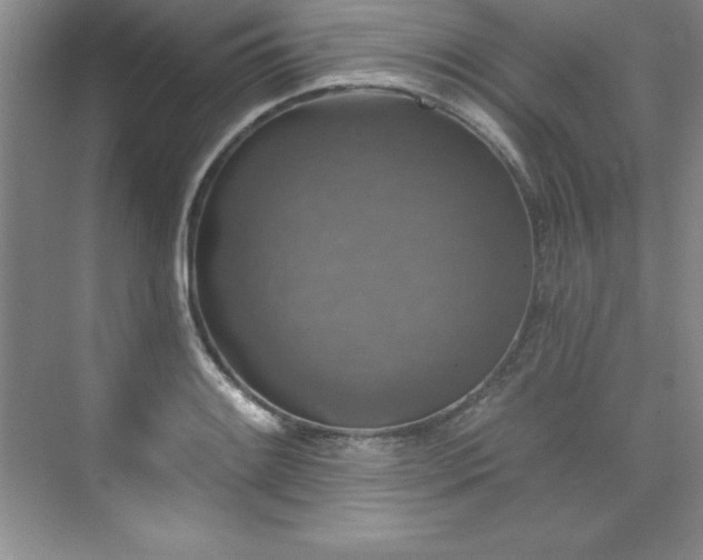 X0000076261084200609281201