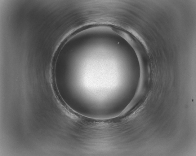 X0000076261085200609281201