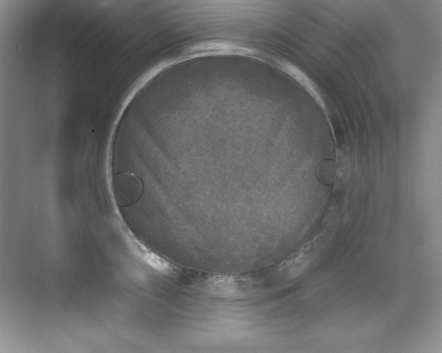 X0000076261098200609281200