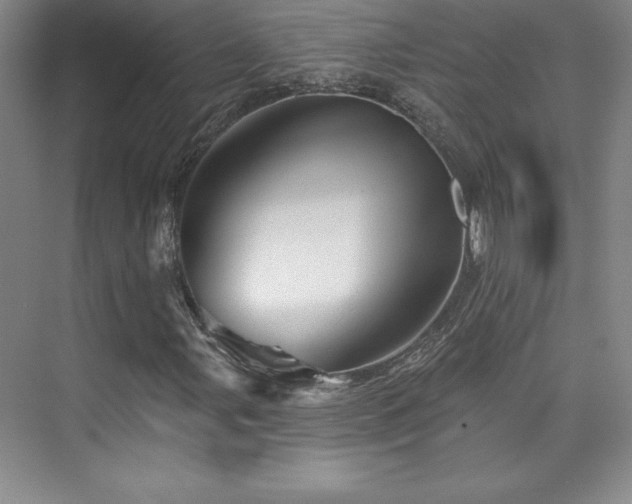 X0000076261107200609281159