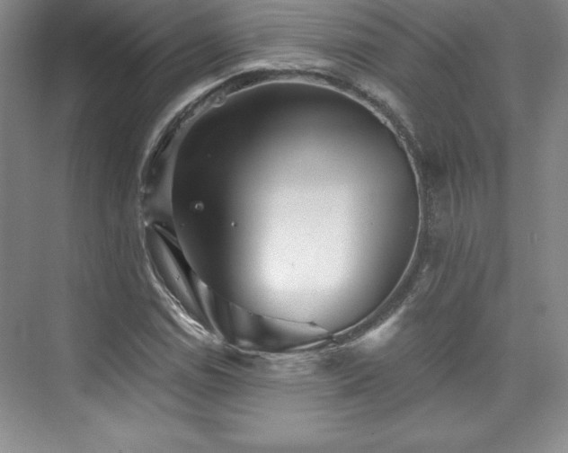 X0000076261114200609281200