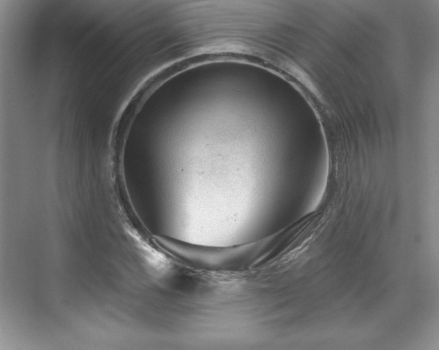 X0000076261116200609281200