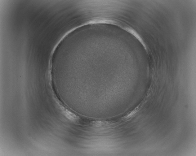 X0000076261124200609281200