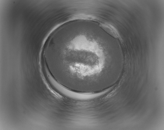 X0000076261128200609281200