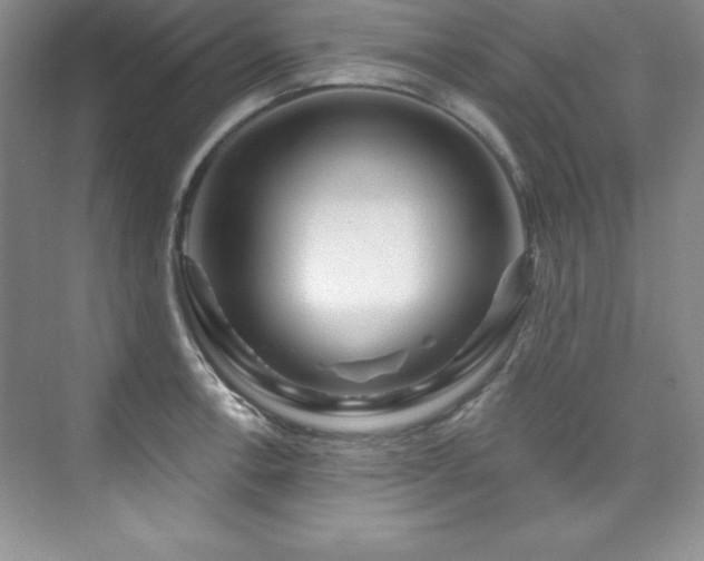 X0000076261138200609281200