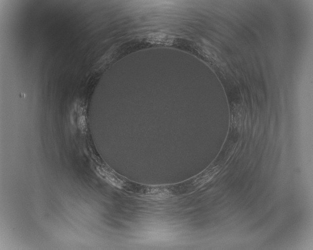 X0000076261154200609281159