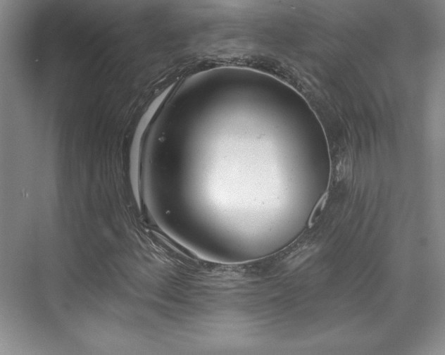 X0000076261156200609281159