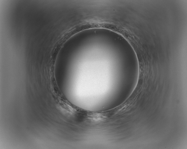 X0000076261157200609281159