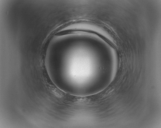 X0000076261160200609281159