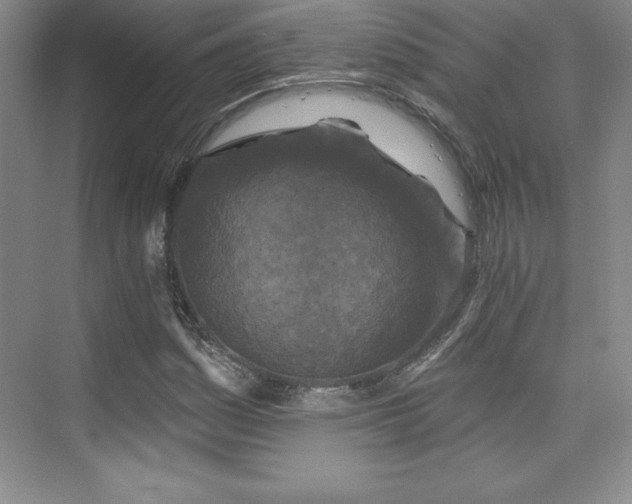 X0000076261161200609281159