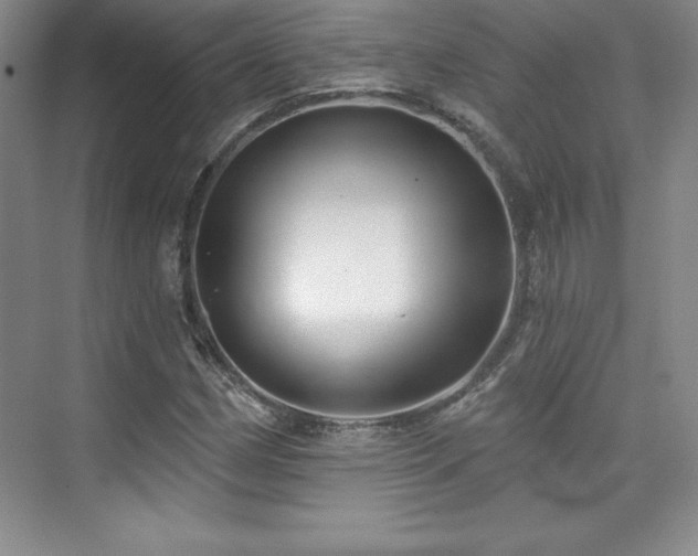 X0000076261162200609281159