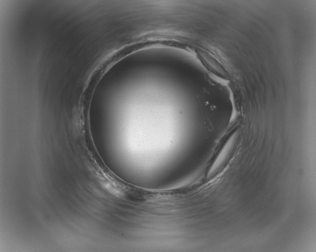X0000076261164200609281159