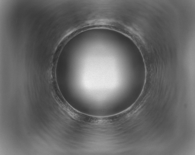 X0000076261166200609281159