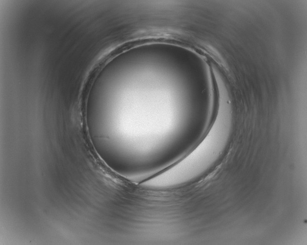 X0000076261172200609281159