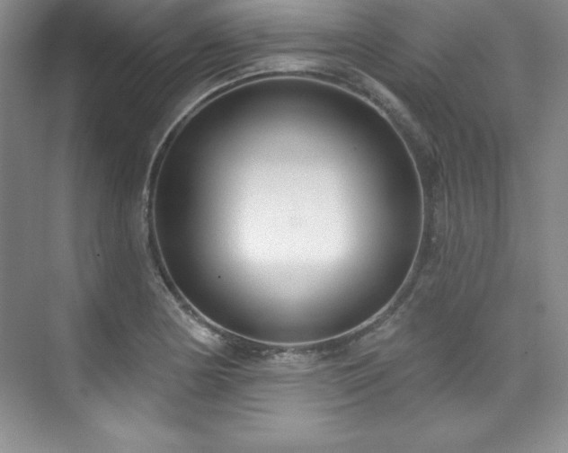 X0000076261178200609281159