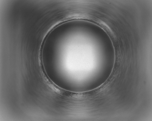 X0000076261182200609281159