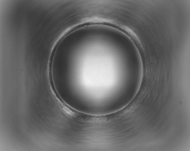 X0000076261183200609281159