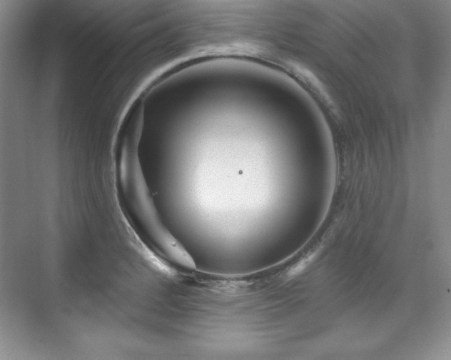 X0000076261184200609281159