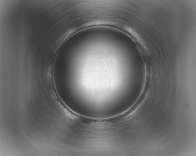 X0000076261185200609281159