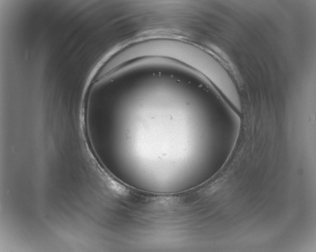 X0000076261188200609281159