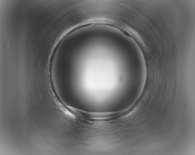 X0000076261192200609281159