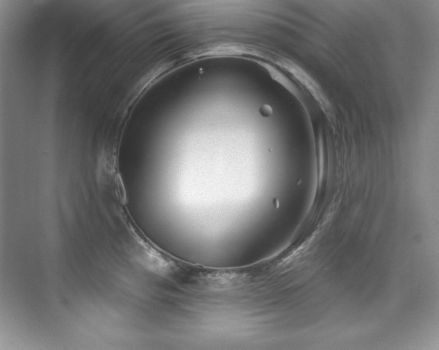 X0000076261193200609281159