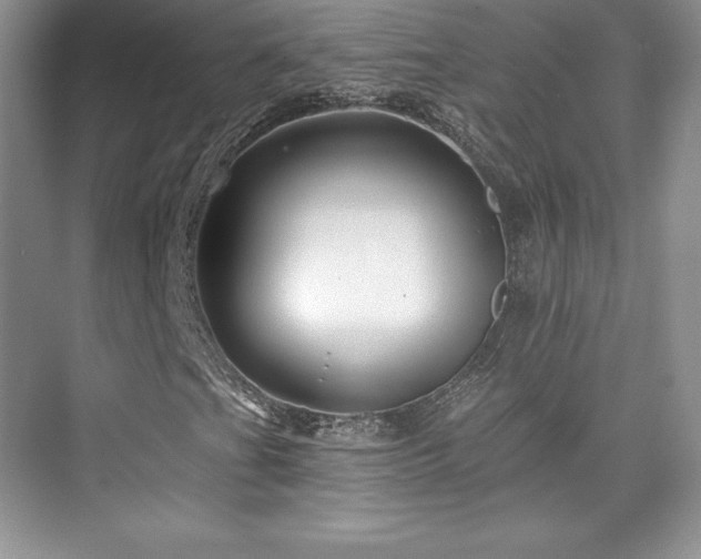 X0000076261201200609281158
