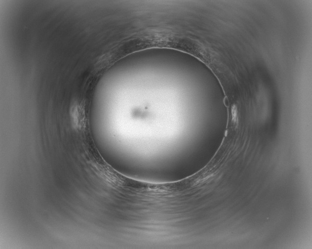 X0000076261203200609281158