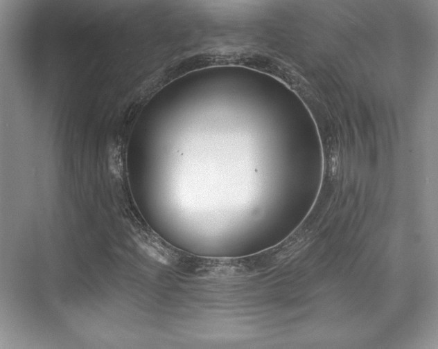 X0000076261204200609281158